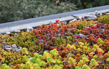 the cost of Dacre green roof installation