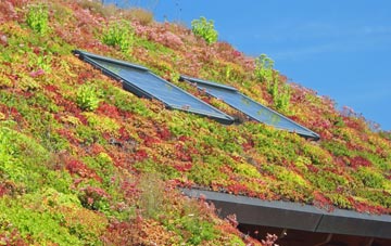 Dacre living roof systems